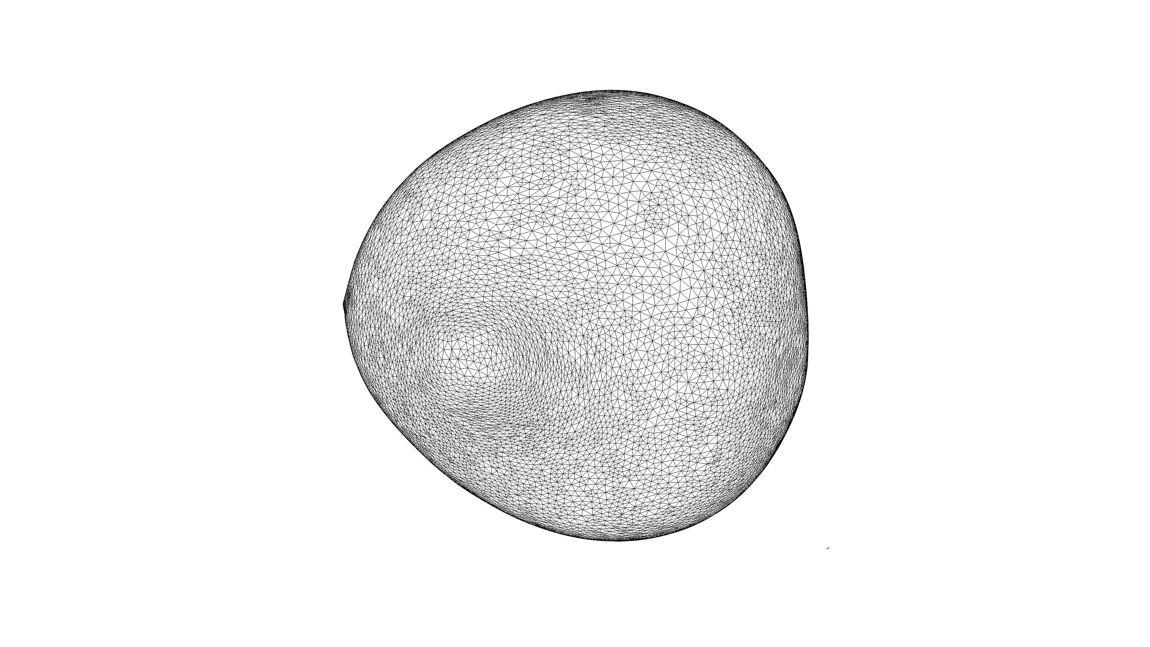 Photorealistic 3D scan of pomelo Low-poly 3D model_24