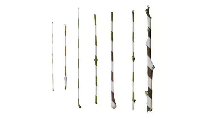 Anydrafts Koelreuteria paniculata Stem 01