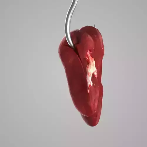 Butchered Pig Kindey Carcass Low-poly 3D model