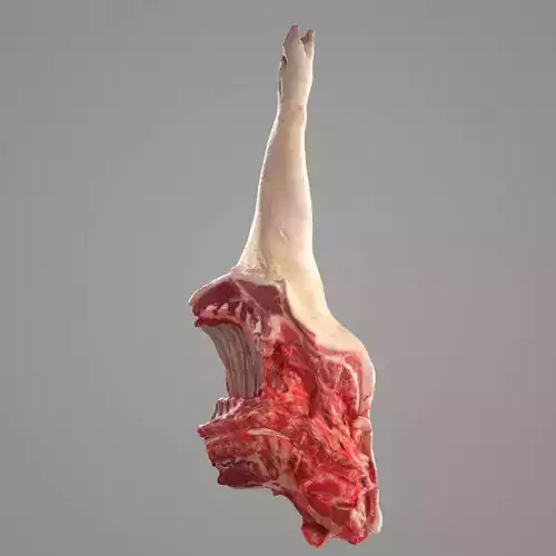 Butchered Pig Front Foot Low-poly 3D model