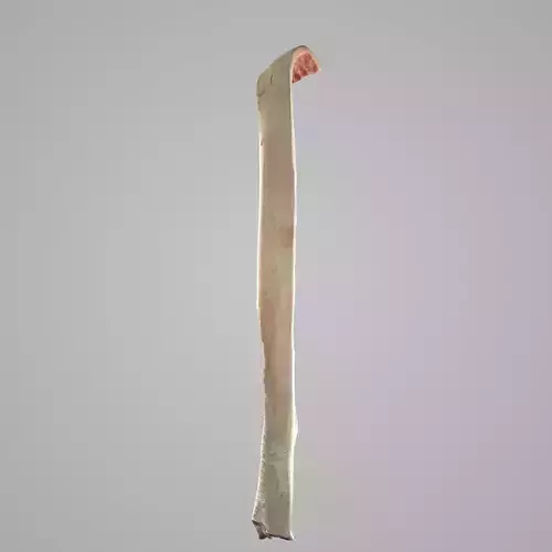 Butchered Pig Back Fat Carcass Low-poly 3D model