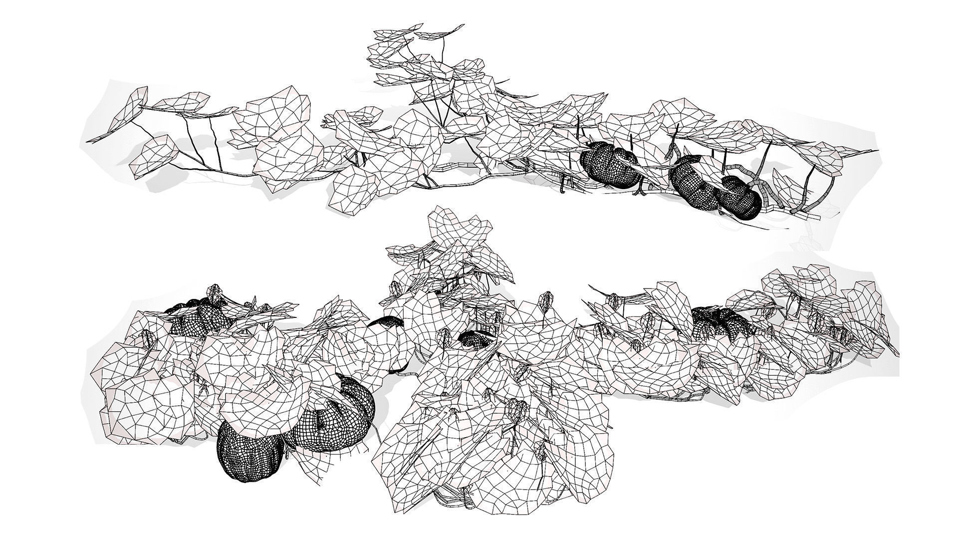 Pumpkin Vine 3D Model Low-poly 3D model_8
