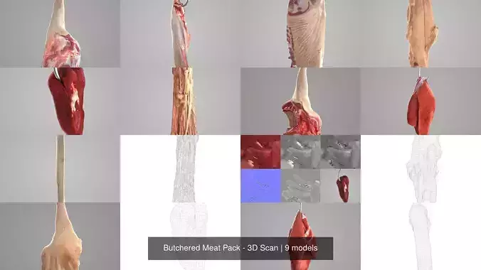 Butchered Meat Pack VOL 2- 3D Scan