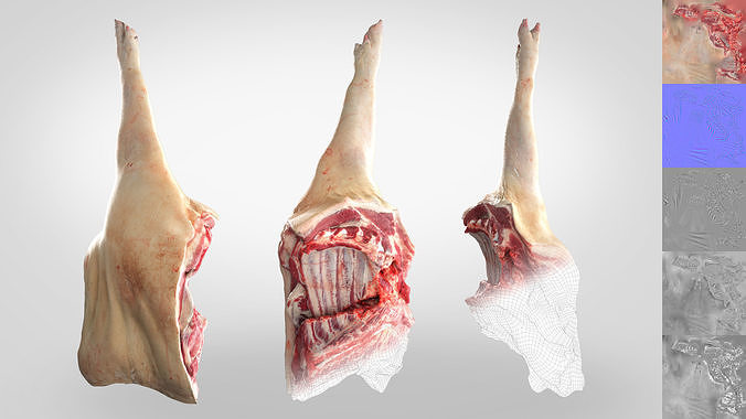 Butchered Meat Pack VOL 2- 3D Scan 7