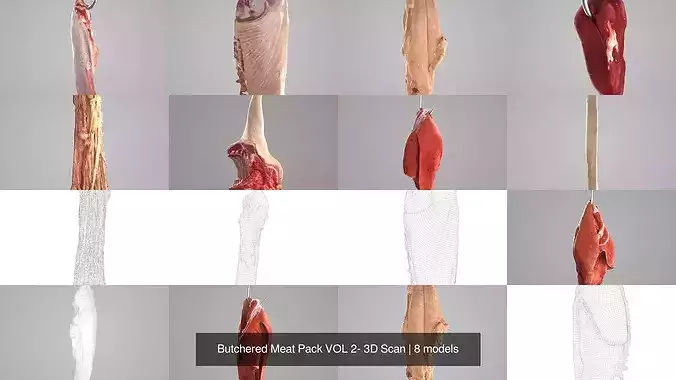 Butchered Meat Pack VOL 2- 3D Scan 2
