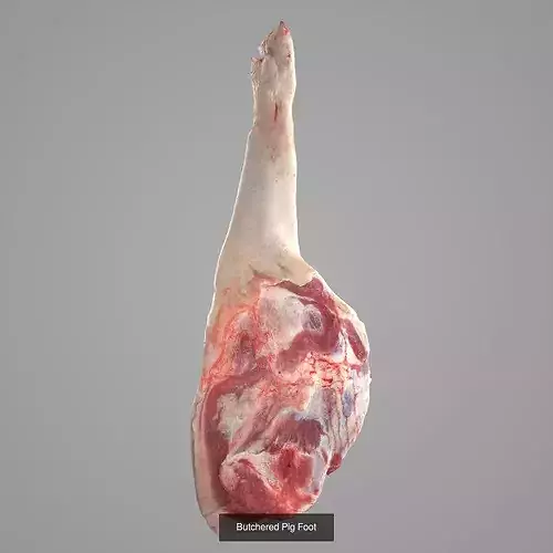 Butchered Meat Pack VOL 2- 3D Scan 4