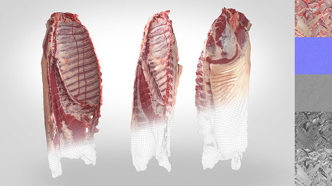Butchered Meat Pack VOL 2- 3D Scan 5