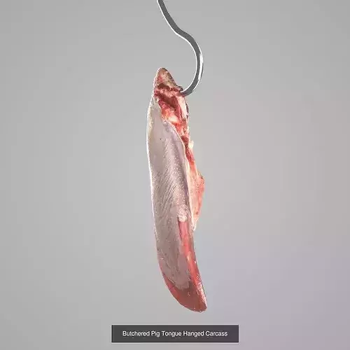 Butchered Meat Pack VOL 2- 3D Scan 6