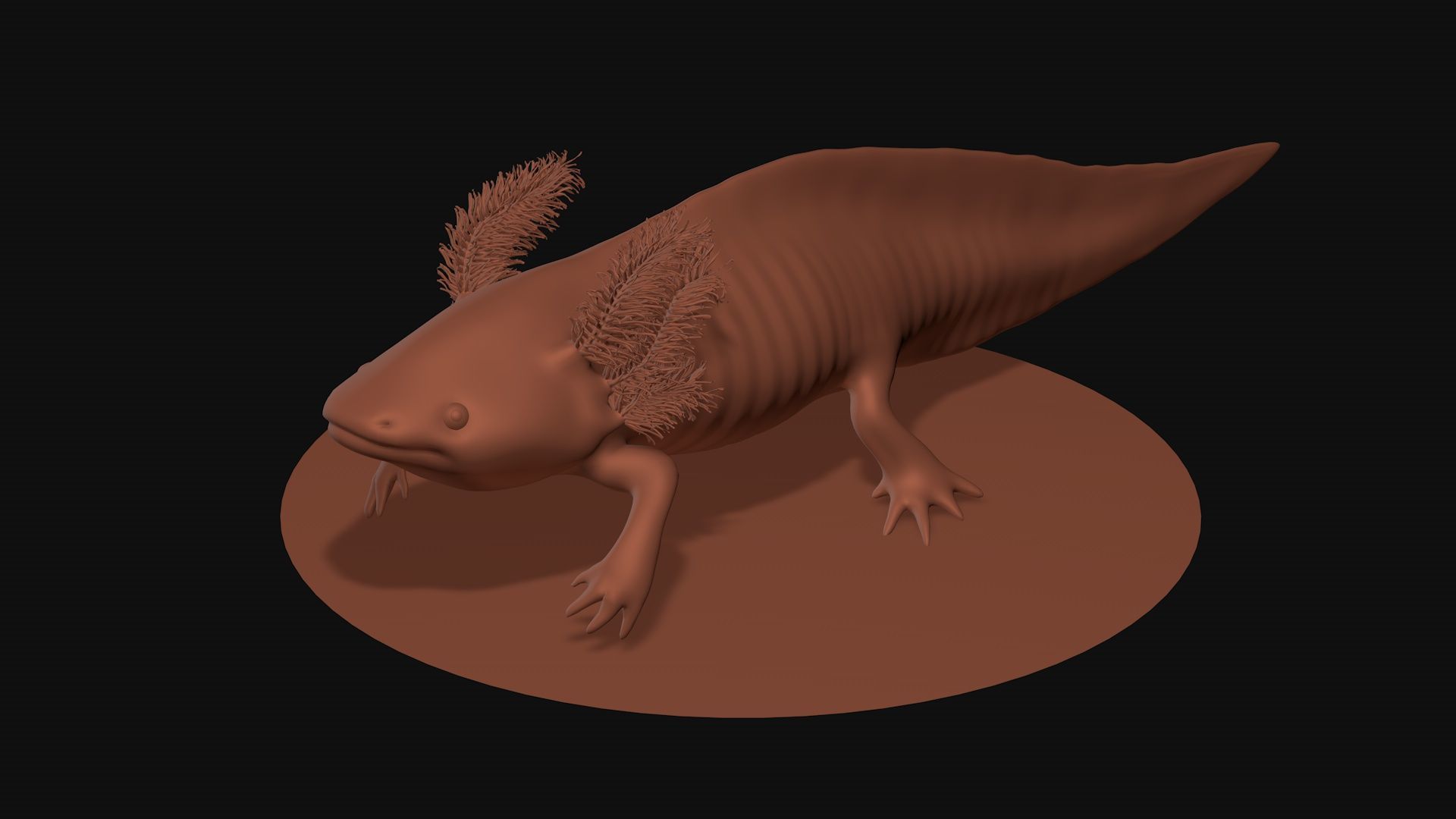 White and pink axolotl 3D model_7