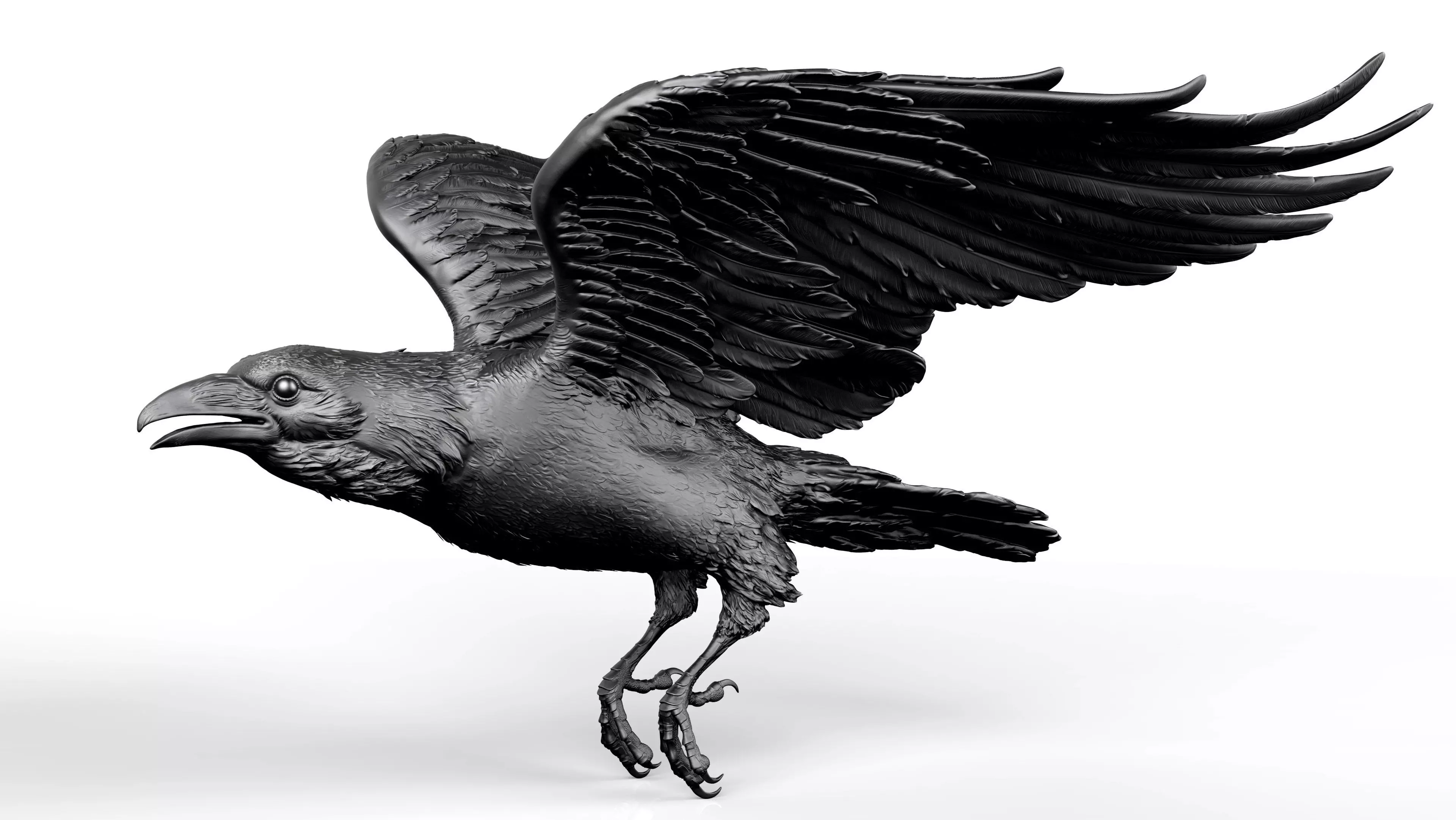 Flying Crow 01 - 3D Sculpting 3D print model