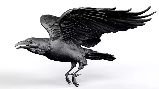 Flying Crow 01 - 3D Sculpting