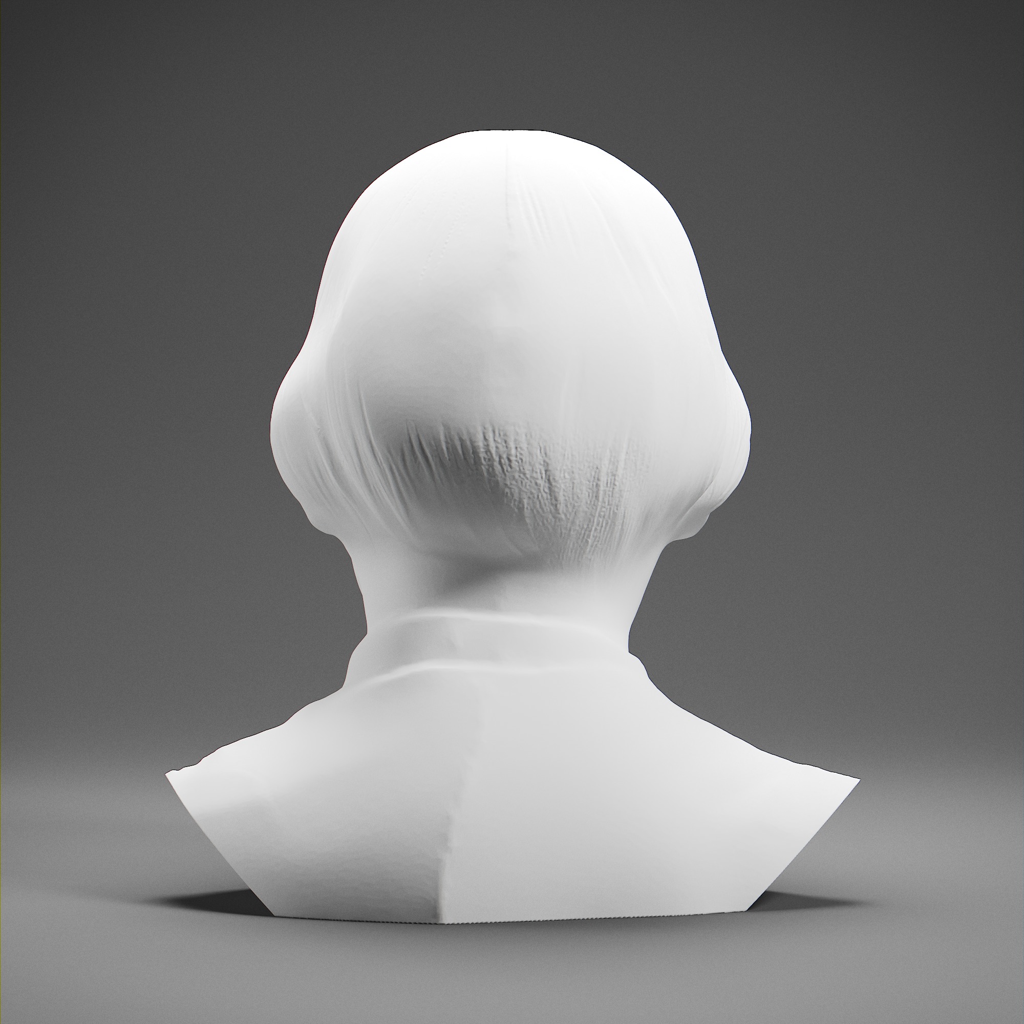 Susan B Anthony 3D print model_4