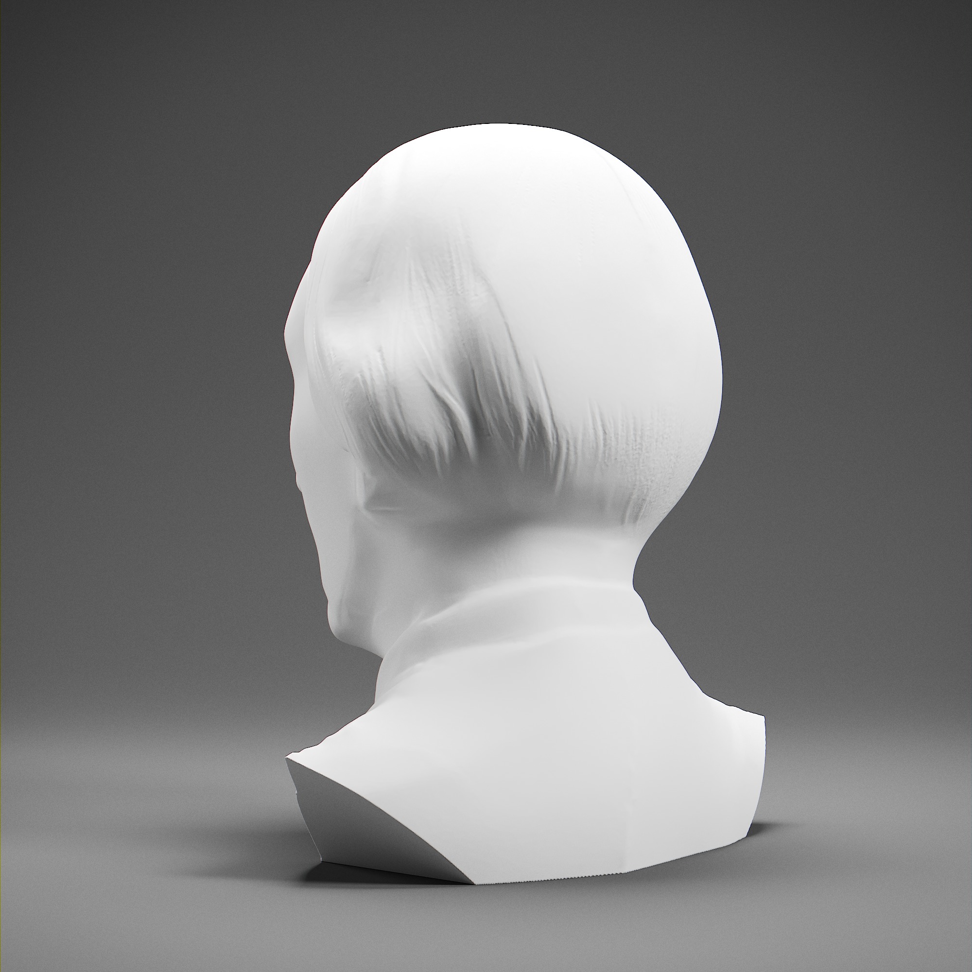 Susan B Anthony 3D print model_3