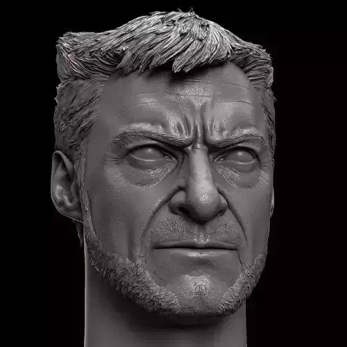 Wolverine -Deadpool and Wolverine - Hugh Jackman Head 3D print model