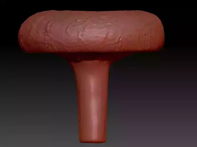 Lactarius torminosus 3D print model