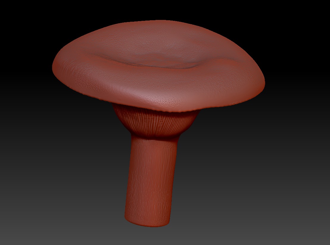 Lactarius resimus 3D print model_1