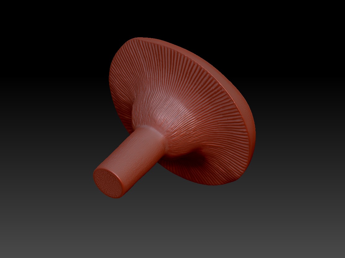 Lactarius resimus 3D print model_3