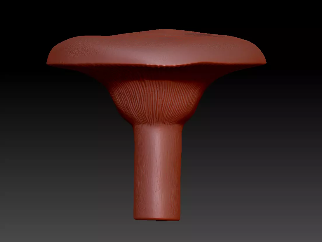 Lactarius resimus 3D print model_0
