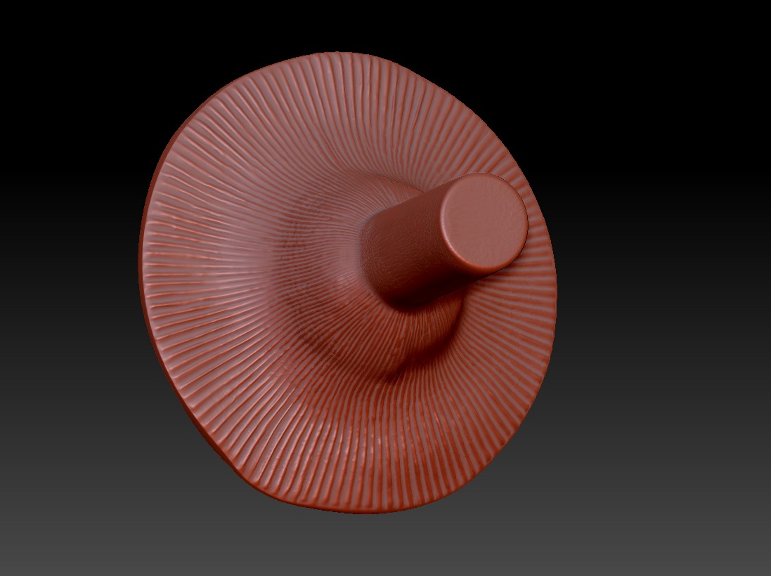Lactarius resimus 3D print model_4