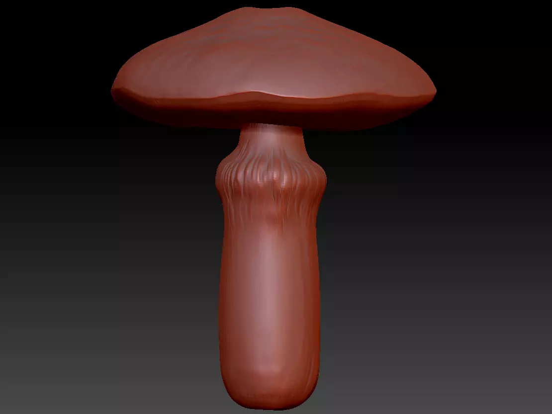 Suillus 3D print model_0