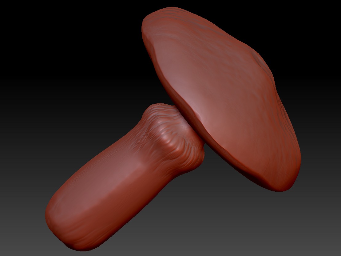 Suillus 3D print model_4