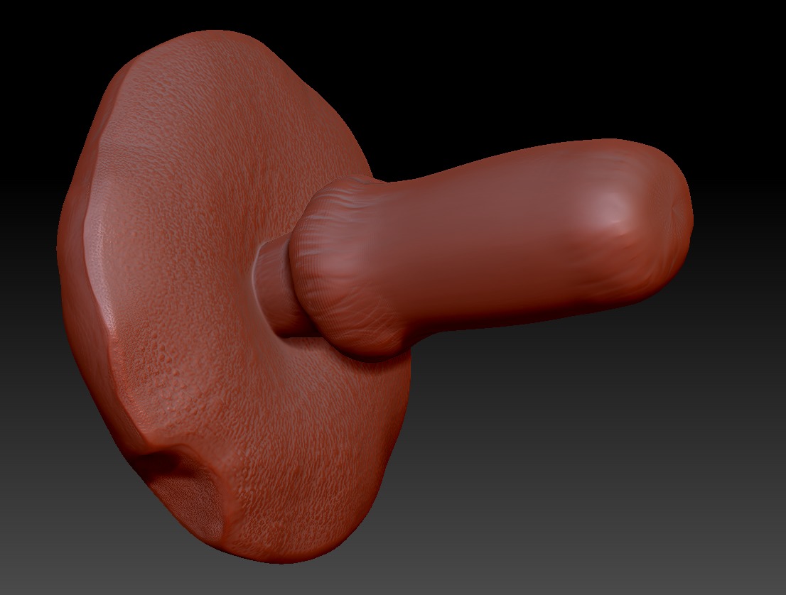 Suillus 3D print model_3