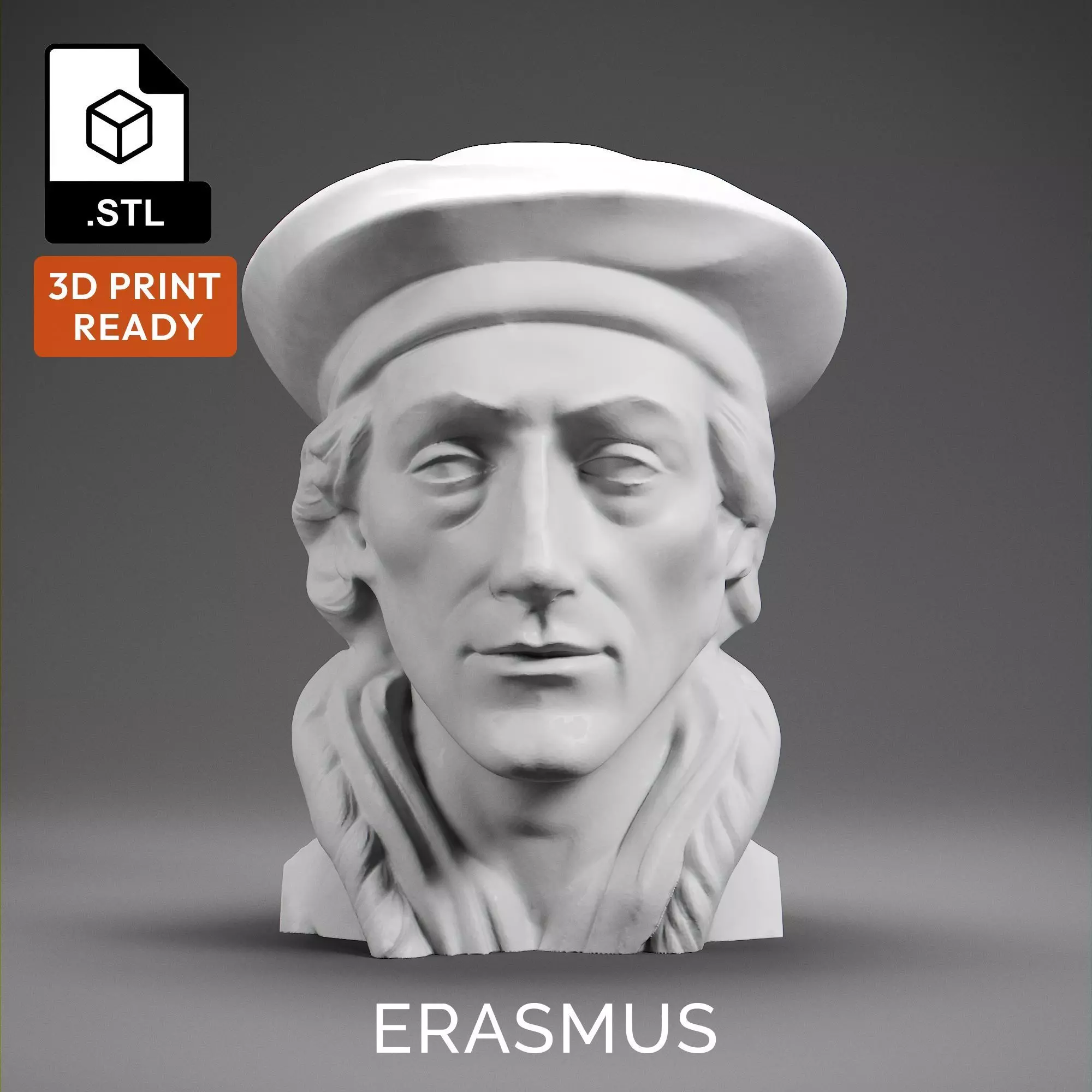 Erasmus 3D print model_0
