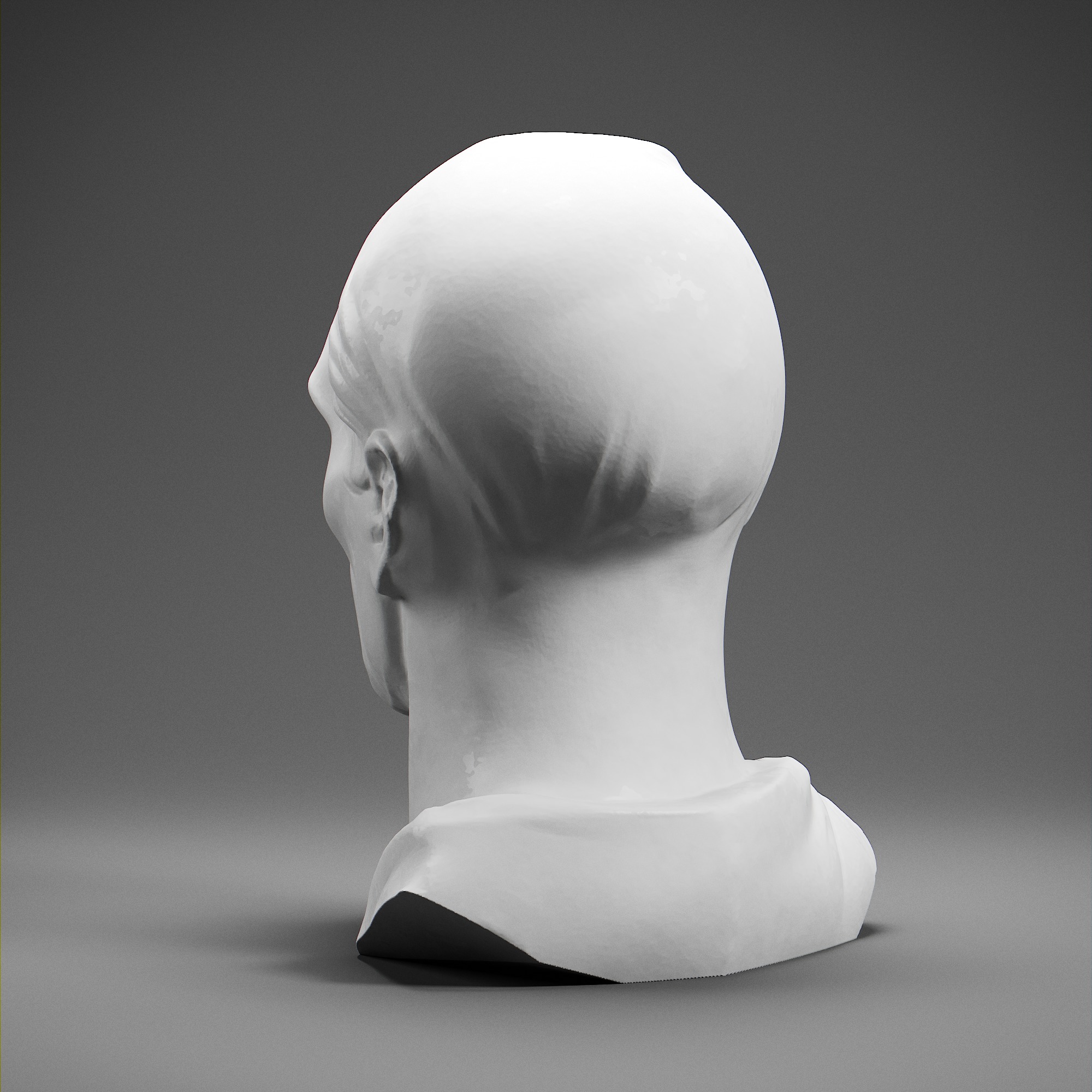 Cicero 3D print model_3