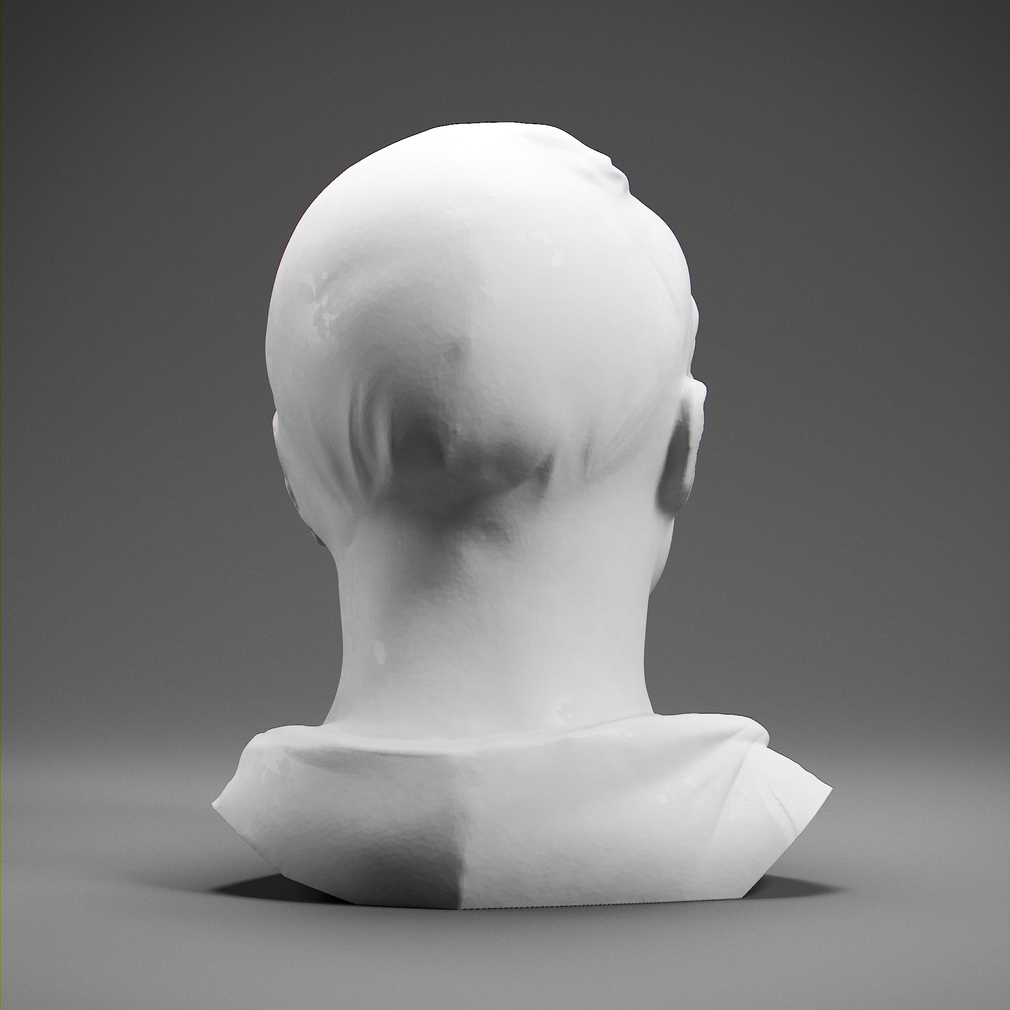 Cicero 3D print model_4