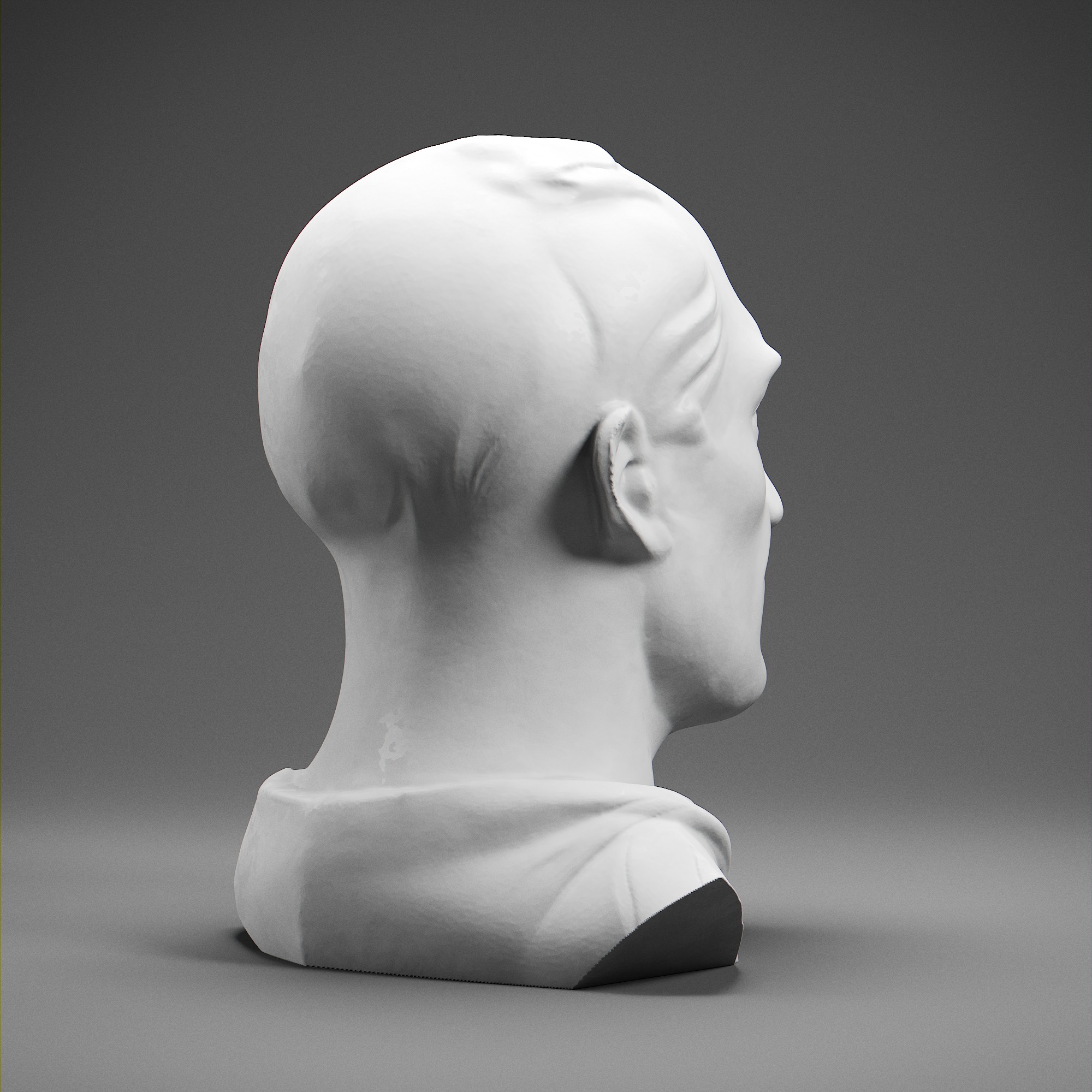 Cicero 3D print model_5