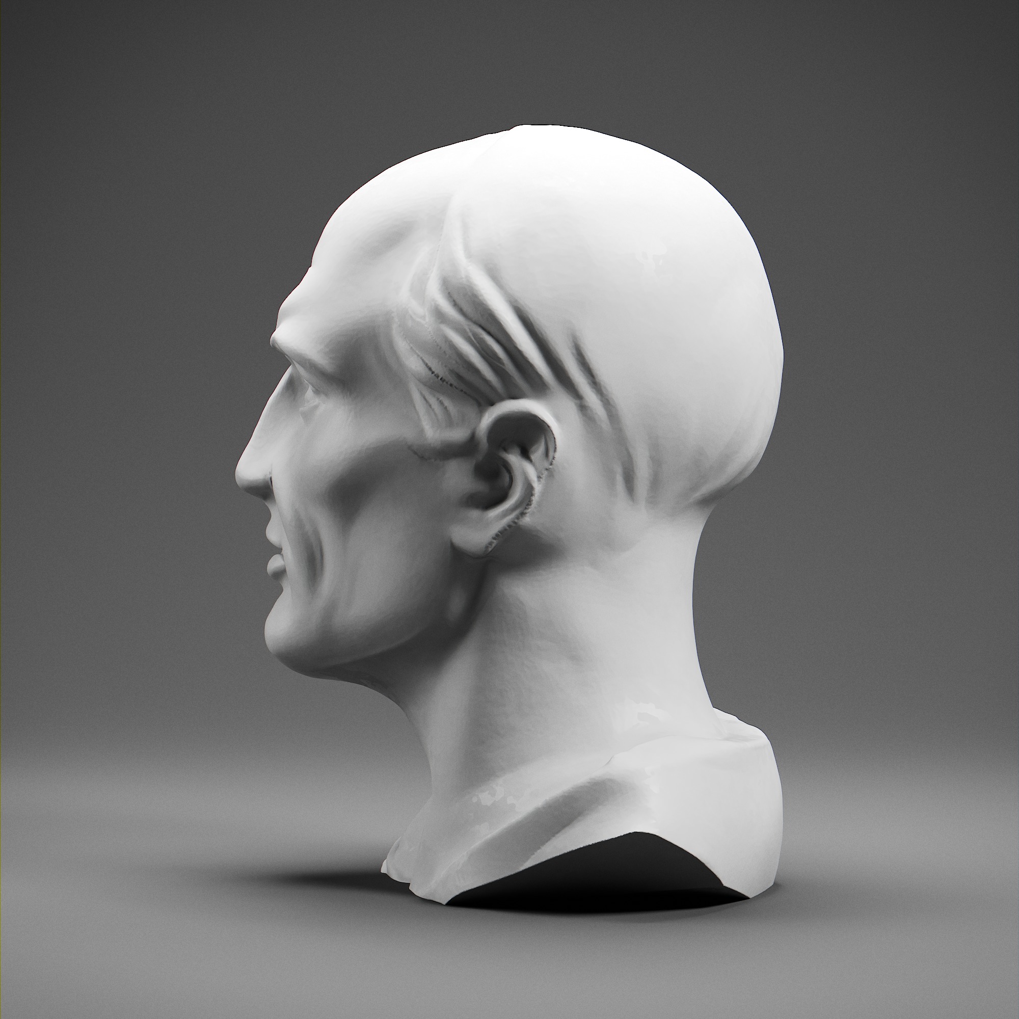 Cicero 3D print model_2