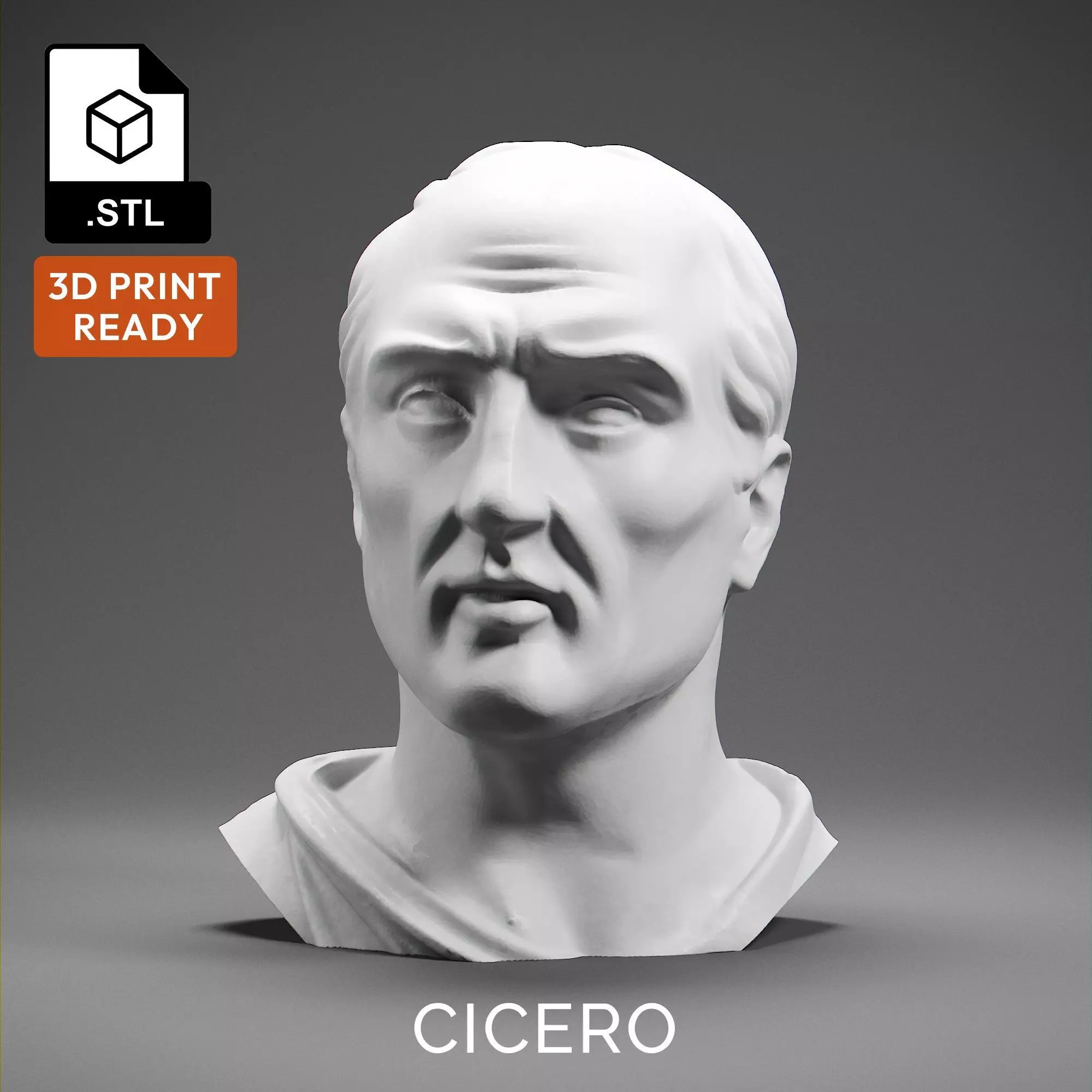 Cicero 3D print model_0