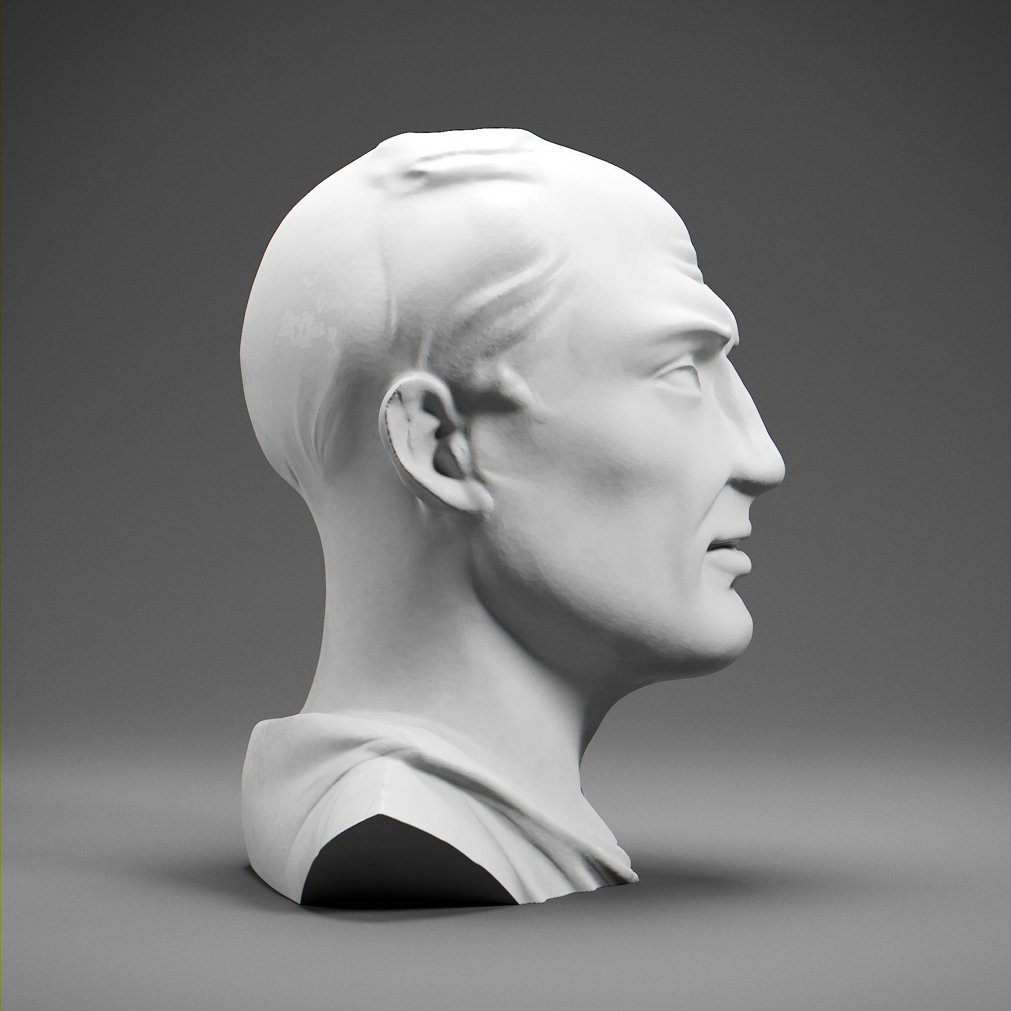 Cicero 3D print model_6