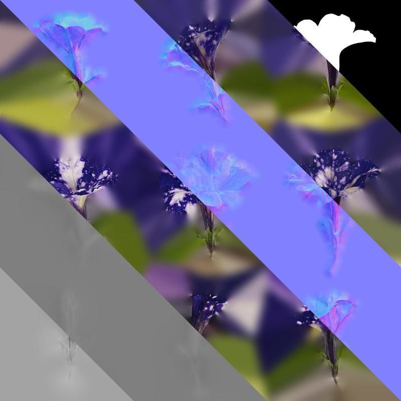 Anydrafts Petunia night sky Flower 02 Texture_8