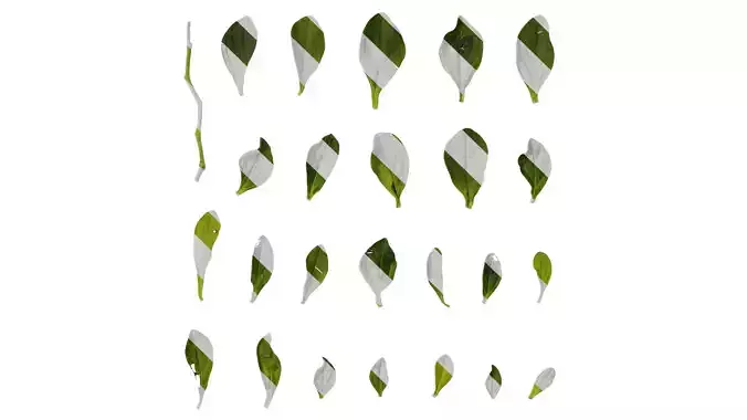 Anydrafts Petunia night sky Leaf 01