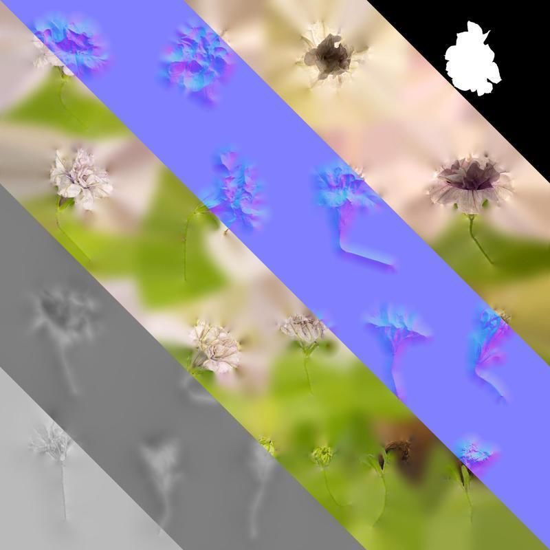 Anydrafts Petunia x atkinsiana Flower 08 Texture_8