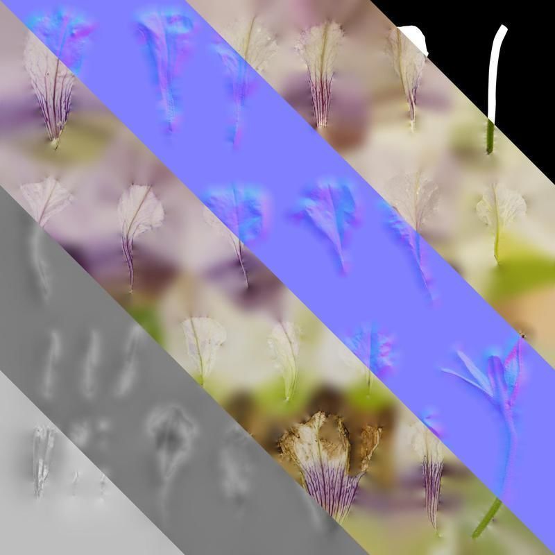 Anydrafts Petunia x atkinsiana Flower 09 Texture_8