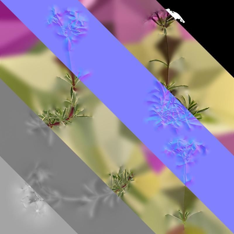 Anydrafts Phlox divaricata montrose tricolor Atlas 02 Texture_8