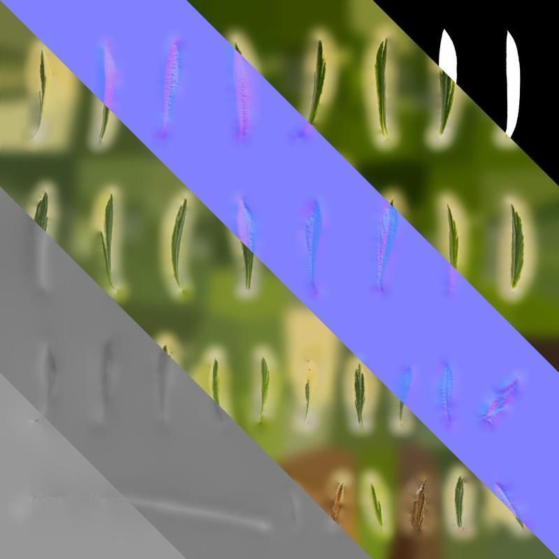 Anydrafts Phlox divaricata montrose tricolor Leaf 02 Texture_8