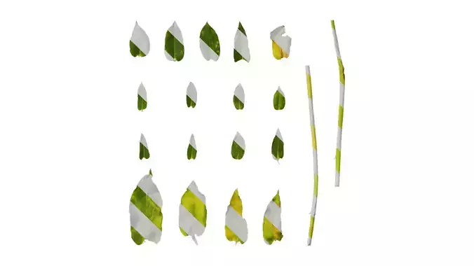 Anydrafts Phlox drummondii Atlas 04