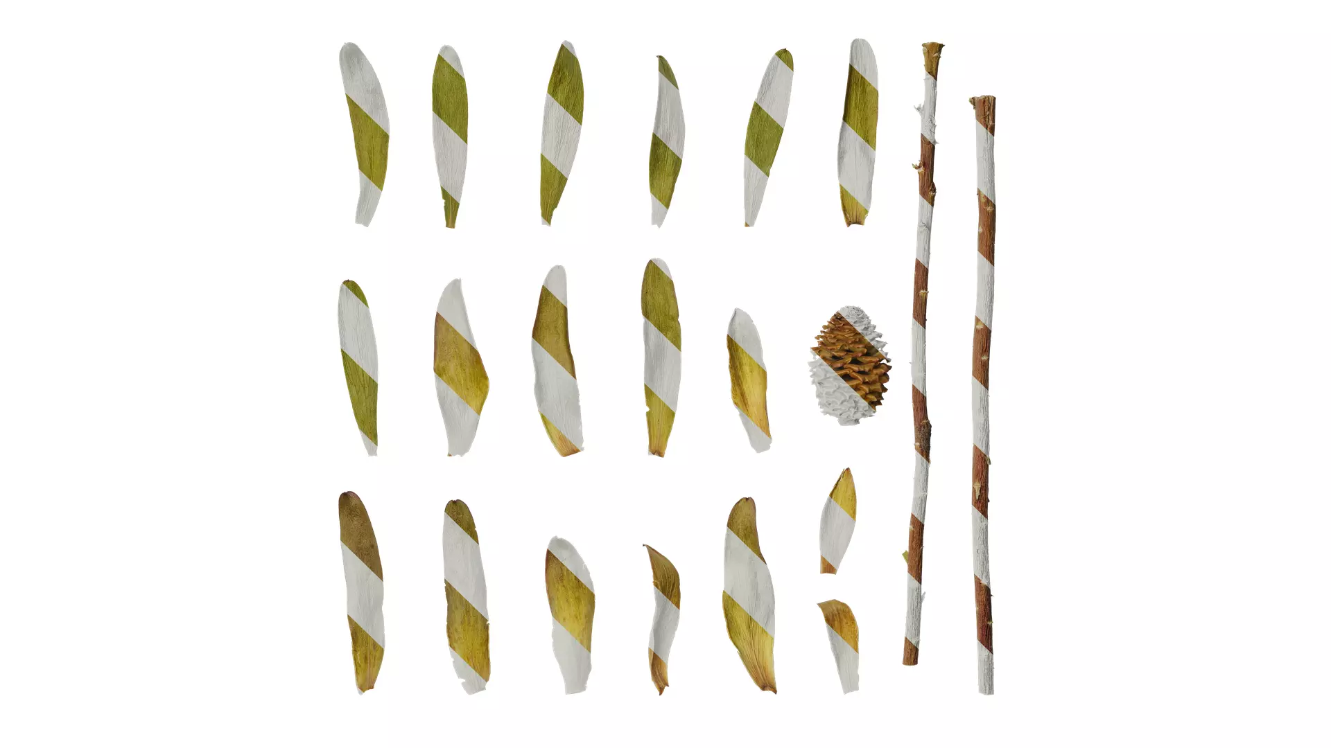 Anydrafts Leucadendron Atlas 03 Texture_0