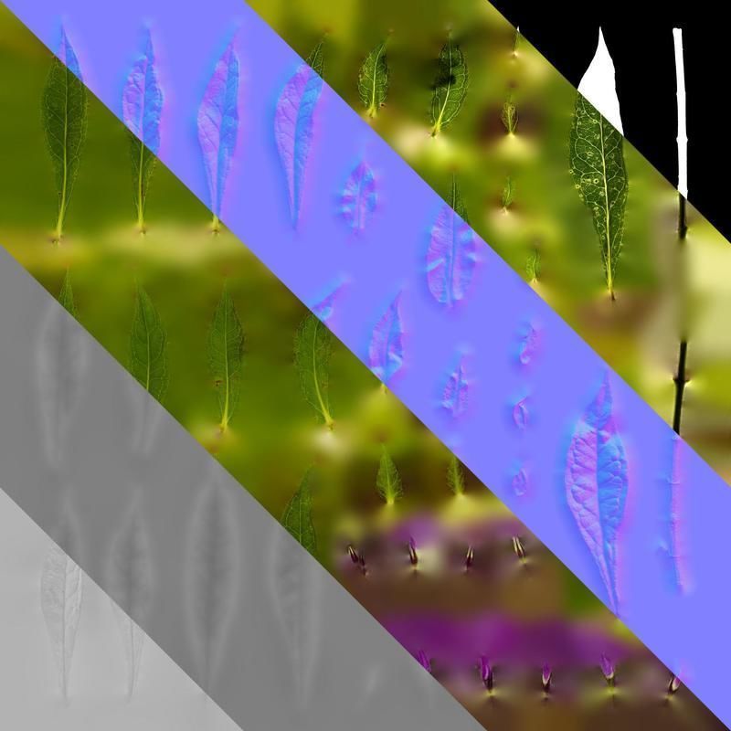 Anydrafts Phlox drummondii Atlas 08 Texture_8