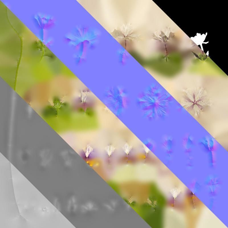 Anydrafts Phlox drummondii Flower 01 Texture_8