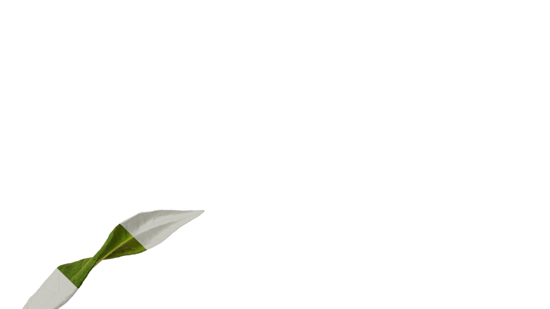 Anydrafts Phlox paniculata Atlas 05 Texture_4