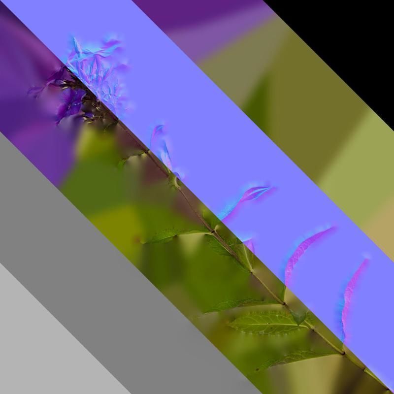 Anydrafts Phlox paniculata Atlas 05 Texture_8