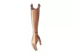 gdfgdlakjsldk laksdlkajl alskdns Free 3D model