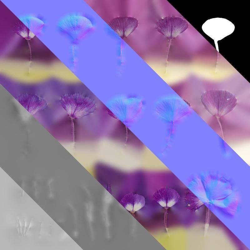 Anydrafts Phlox paniculata Flower 04 Texture_8