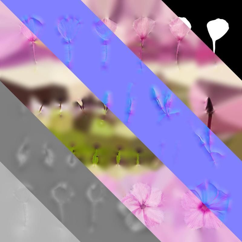 Anydrafts Phlox paniculata Flower 05 Texture_8