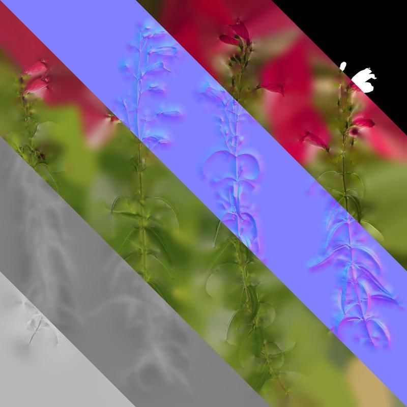 Anydrafts Physostegia virginiana Atlas 01 Texture_8