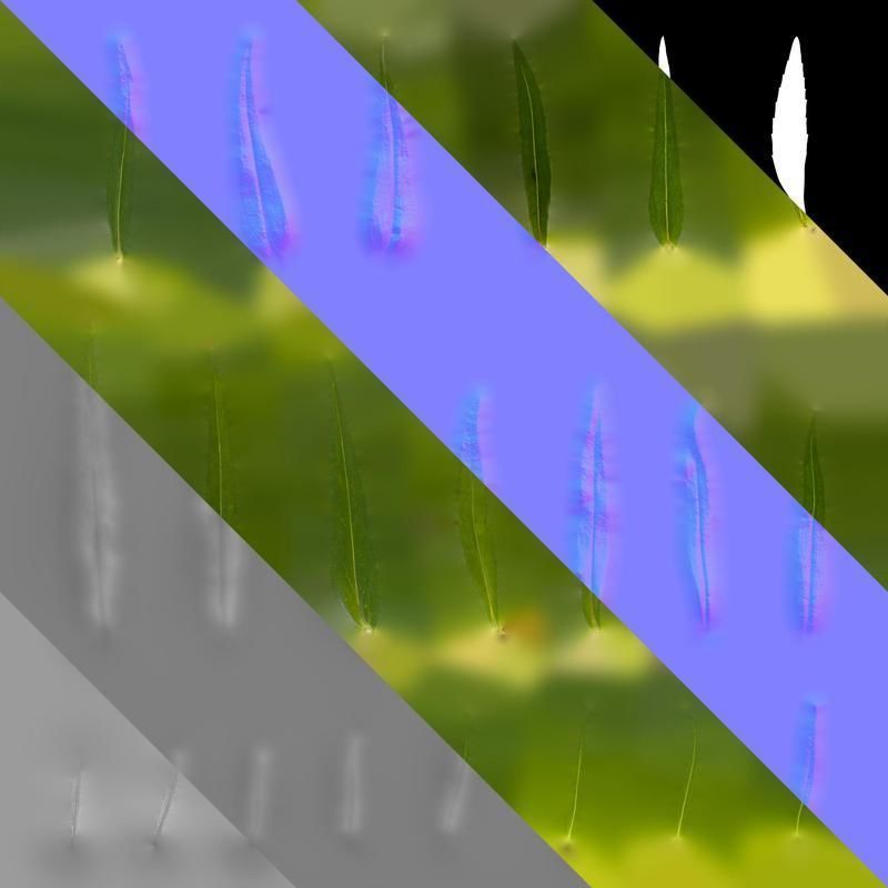 Anydrafts Physostegia virginiana Leaf 01 Texture_8